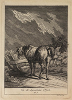 KG 01078
          <br/>
          Entwurf einiger Pferde. Sechster Theil. (18 bladen)
          <br/>
          <em>Ridinger, Johann Elias (1698-1767)</em>